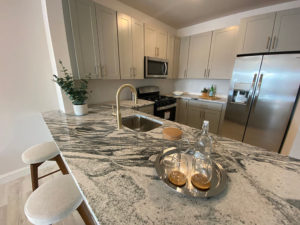 129 Halstead 2 Bedroom / 2 Bathroom Kitchen