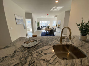 129 Halstead 2 Bedroom / 2 Bathroom Kitchen