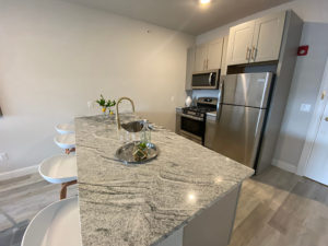 129 Halstead 2 Bedroom / 2 Bathroom Duplex Kitchen